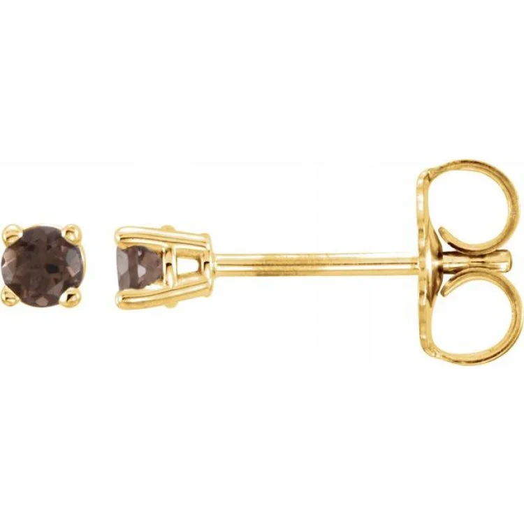 Multi-layered Earrings-14K Yellow 2.5 mm Natural Smoky Quartz Stud Earrings