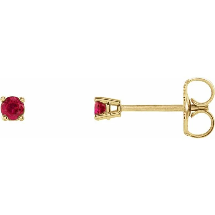 Multi-colored Drop Earrings-14K Yellow 2.5 mm Natural Ruby Stud Earrings